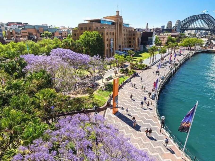 Stylish 1 Bedroom Best Location Sydney Buitenkant foto
